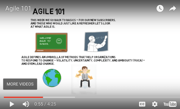 auspicious blockchain and agile